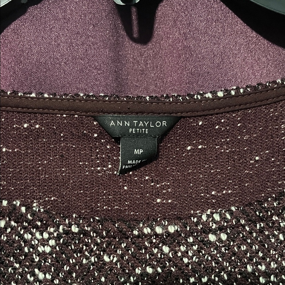 Ann Taylor Brown and White Crew Neck Sweater - Picture 2 of 4